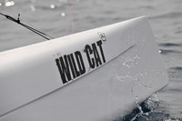 Wildcat mast e